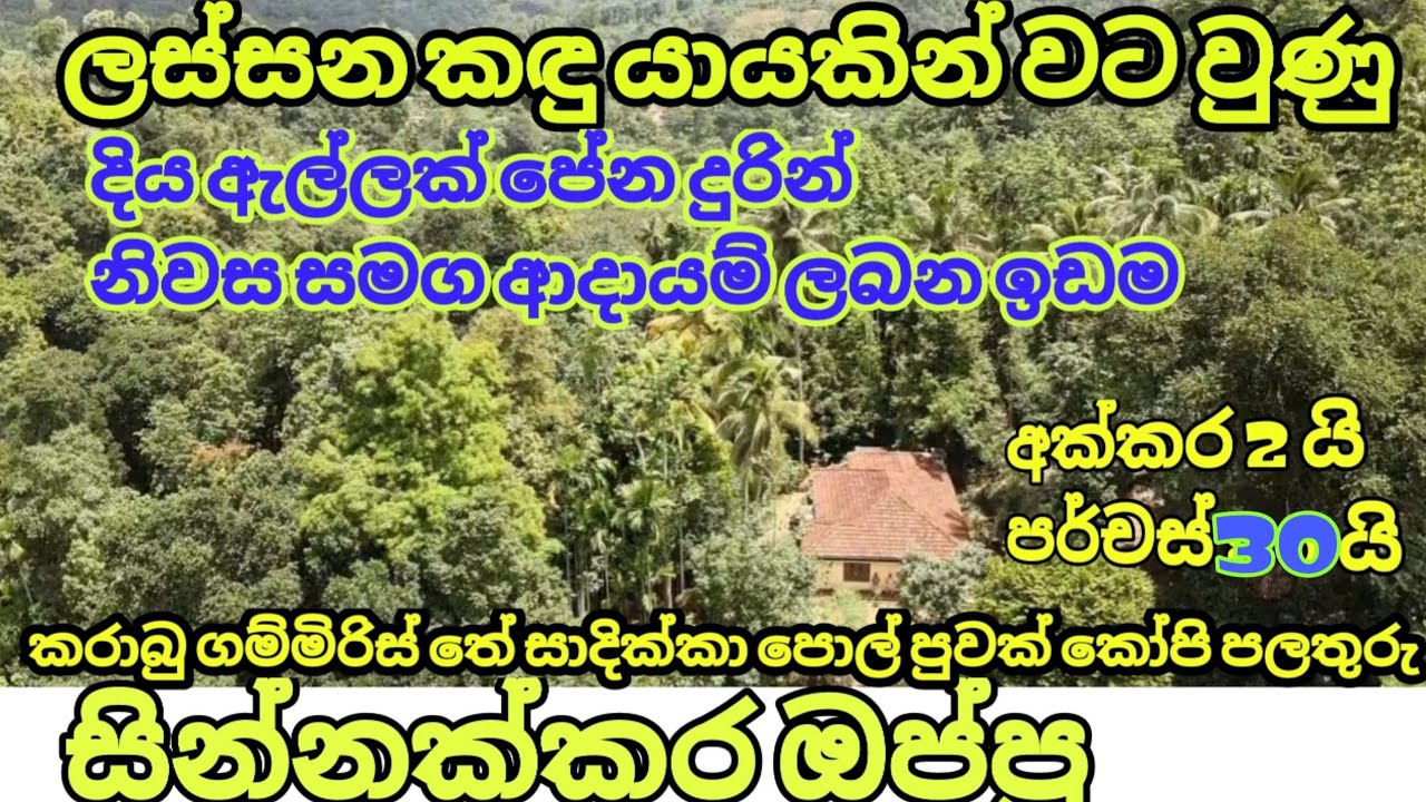 කඳු පන්තියකට අයත් ආදායම් ලබන ඉඩම property sale in mathale ukuwela ඉඩම්