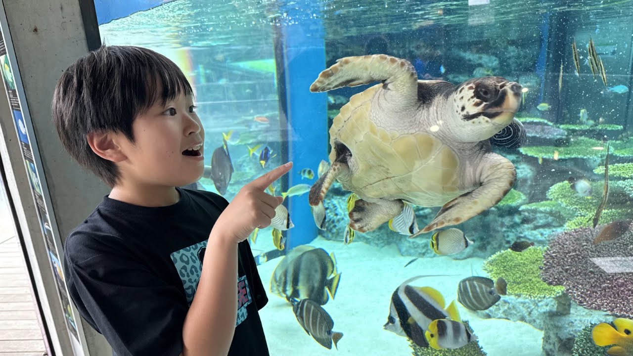レオくんがおでかけしてみた！なかがわ水遊園！ Part78 レオスマイル