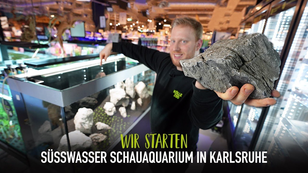 Teil 1: Wir starten - Süßwasser Schauaquarium in Karlsruhe | KÖLLE ZOO