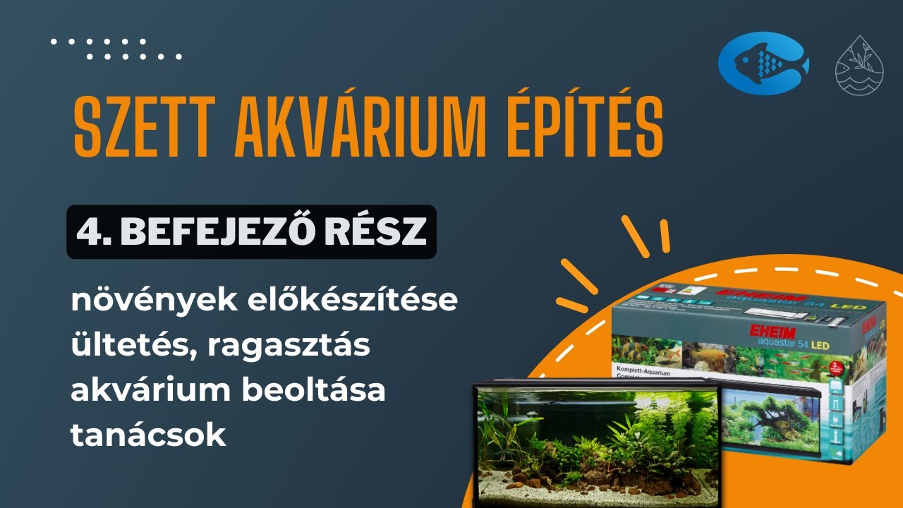 Akvárium építés kezdőknek - 4  rész. Növények előkészítése, ültetés, ragasztás, tanácsok