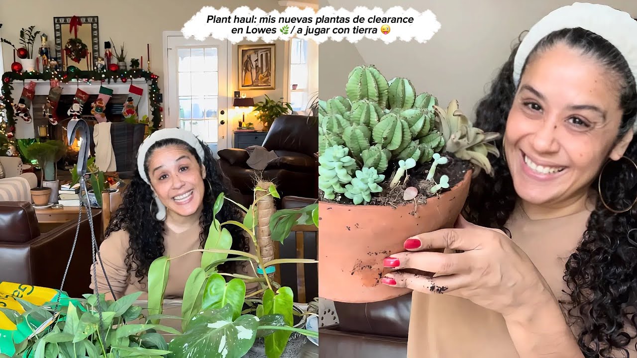 Bellas plantas nuevas y aquí estoy trasplantándolas y creando su hogar 🪴.