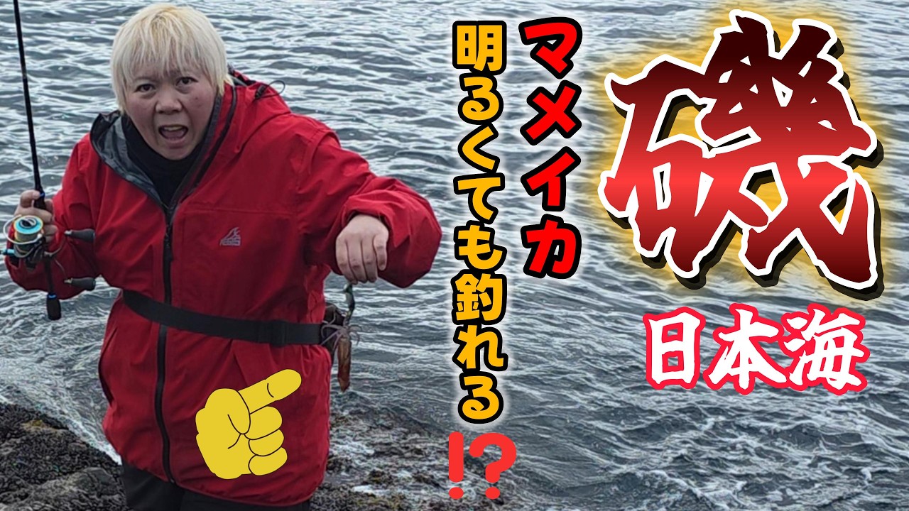 【釣り】 明るい時間でも釣れる⁉️ 春マメイカ   2026年     #北海道釣り  #日本海釣り #磯釣り  #マメイカ