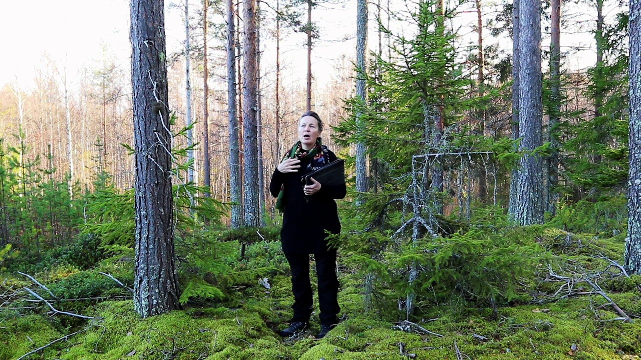 ProEt - ETIIKKAKOULU osa 17. Mit&auml; on eettinen toimintakyky?