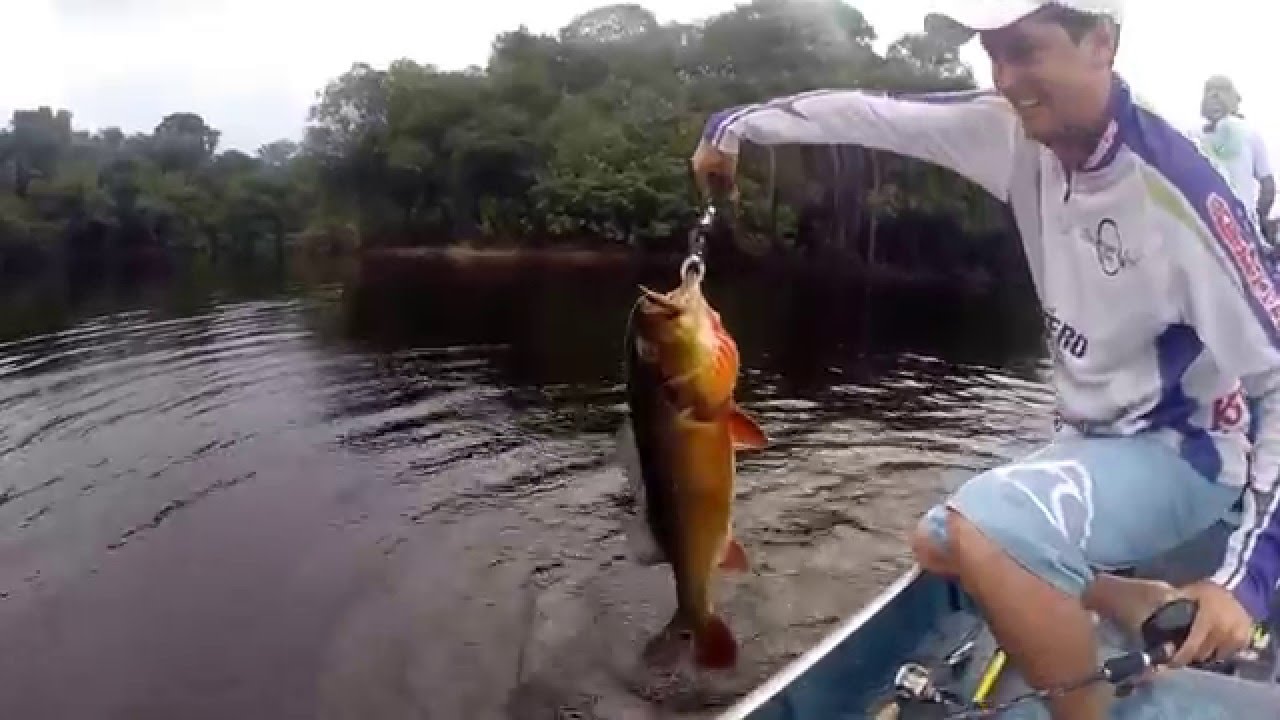 DOJ&Ocirc; pescando no Rio Negro - Barcelos Jan 2015