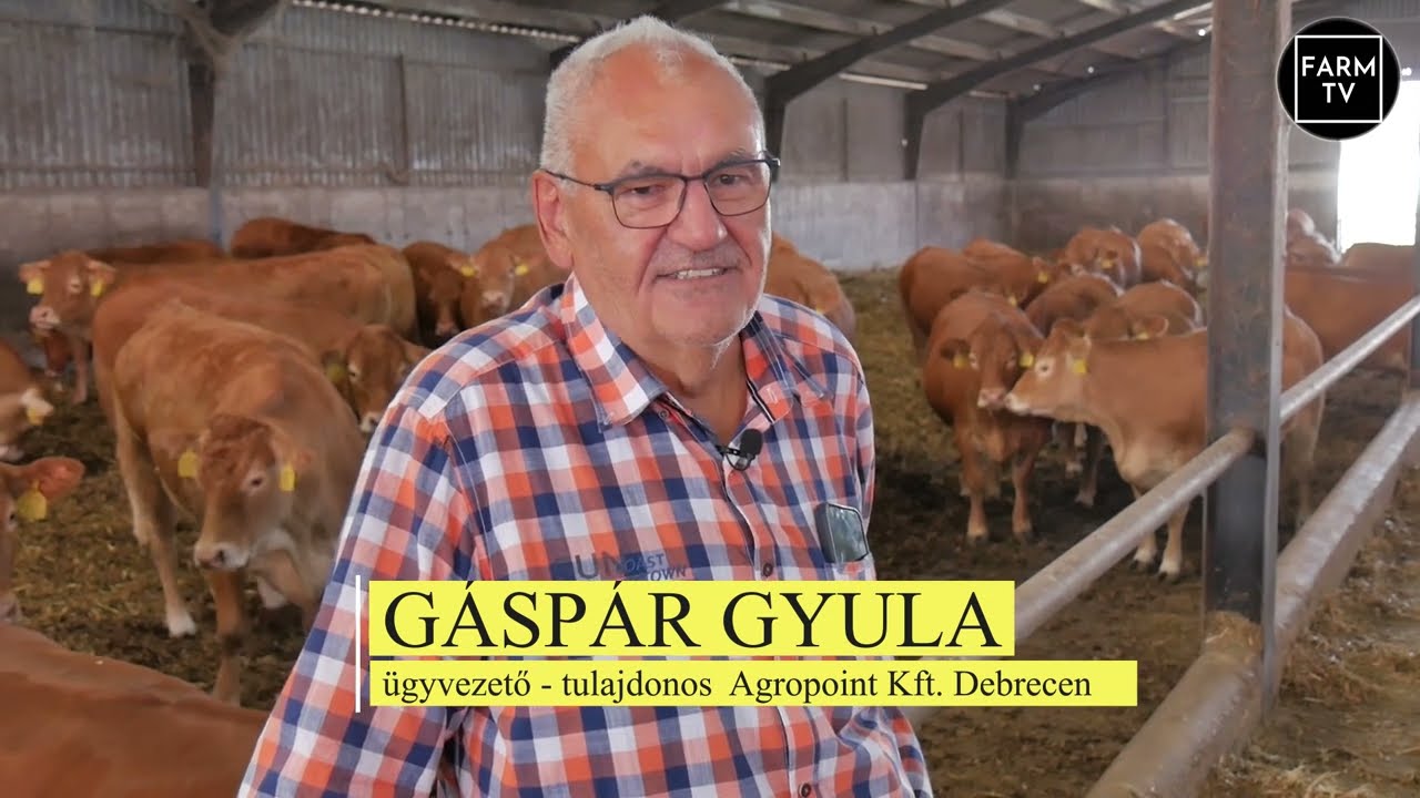 AGROPOINT LIMOUSIN TÖRZSTENYÉSZET / GÁSPÁR GYULA