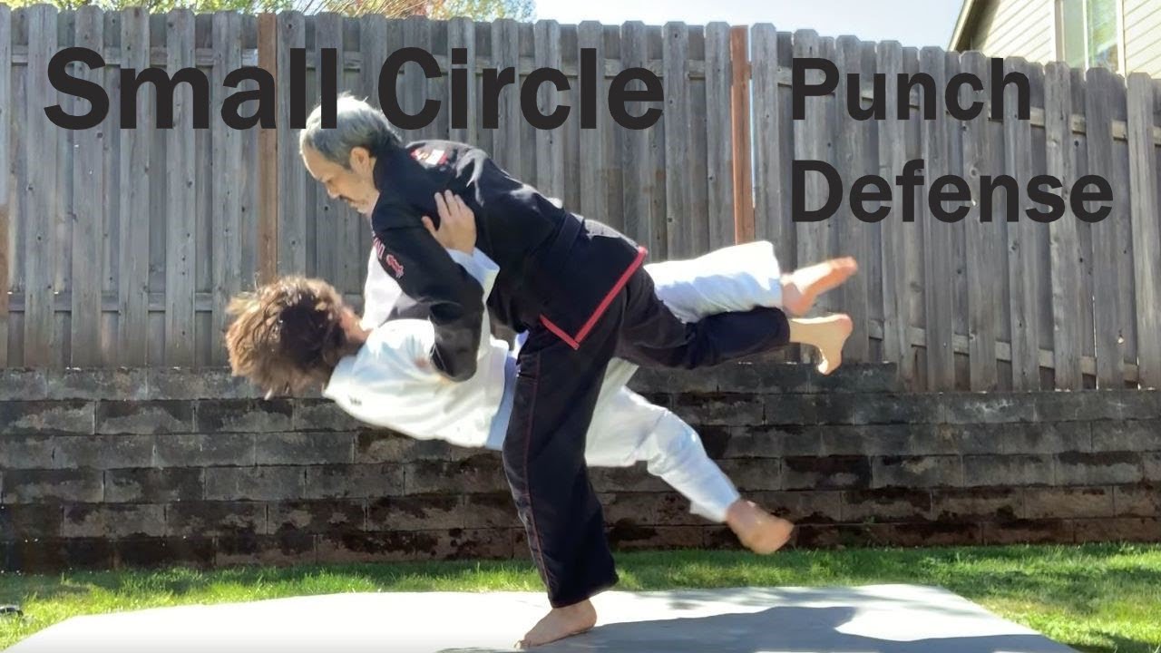 Small Circle Judo - Hook Punch Defense