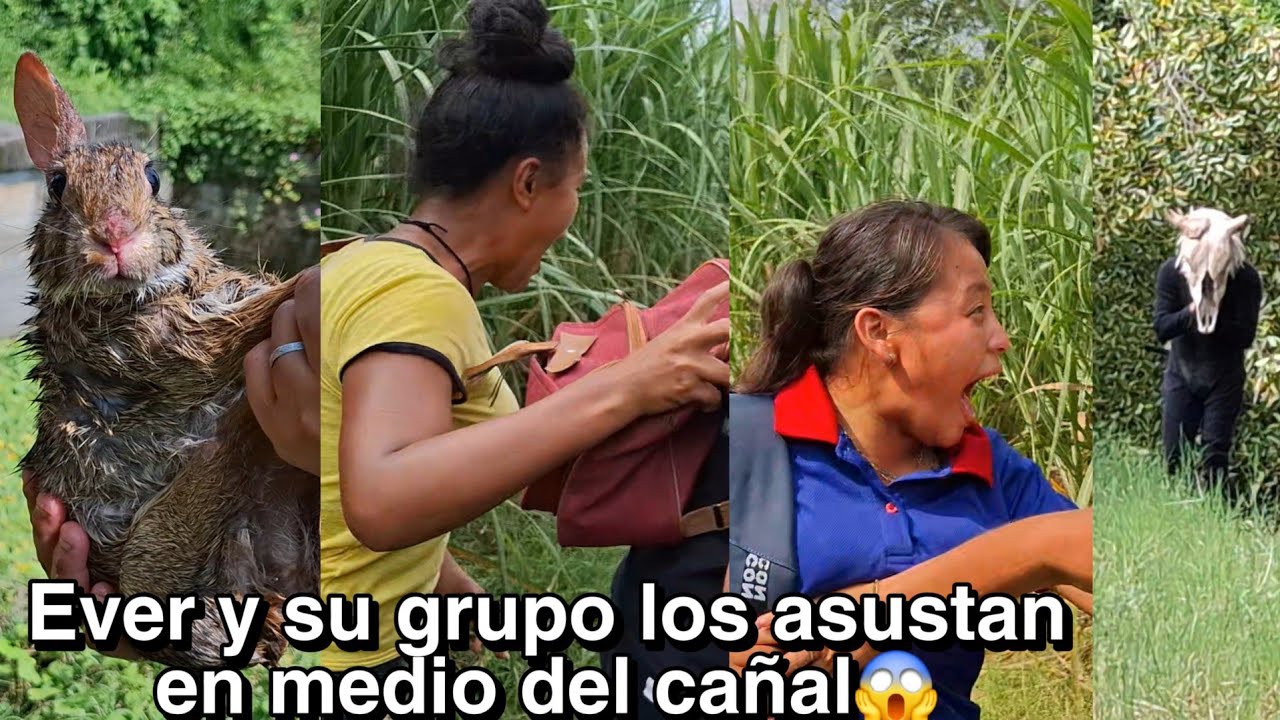 Maria Gritan del Gran Susto😱Aparecio El Hombre vaca😱Por un Conejo
