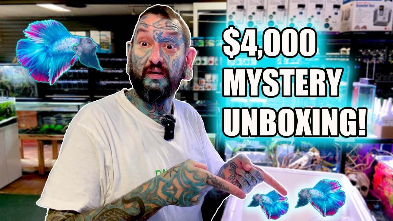 UNBOXING $4000 WORTH OF MYSTERY FISH!