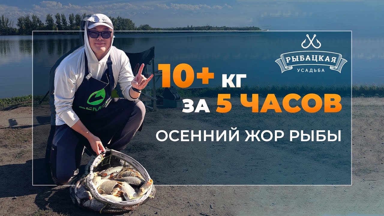 Раздача карпа на Рыбацкой Усадьбе! Отловились на фидер, успели на осенний жор.
