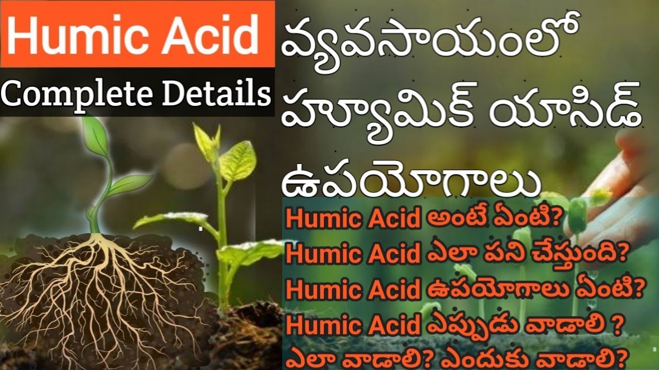 Humic acid uses in all crops | అన్ని రకాల పంటలకు హ్యూమిక్ యాసిడ్ యొక్క ఉపయోగాలు |humicacid in telugu