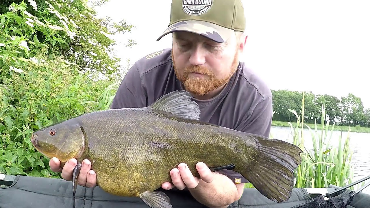 Carp Fishing bonus Tench on Gailey Res