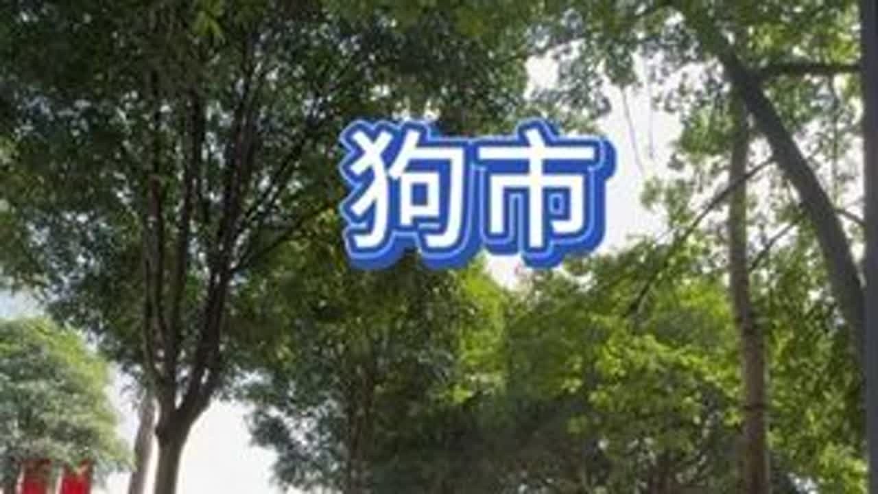 都说养一只狗狗会治愈你的一切，但陪伴是相互的，更加是一种责任。突然发现自己已经过了冲动的年纪了，那就一切随缘吧！#原创视频 #vlog日常 #vlog旅游 #一人一车一世界 #玉林狗市