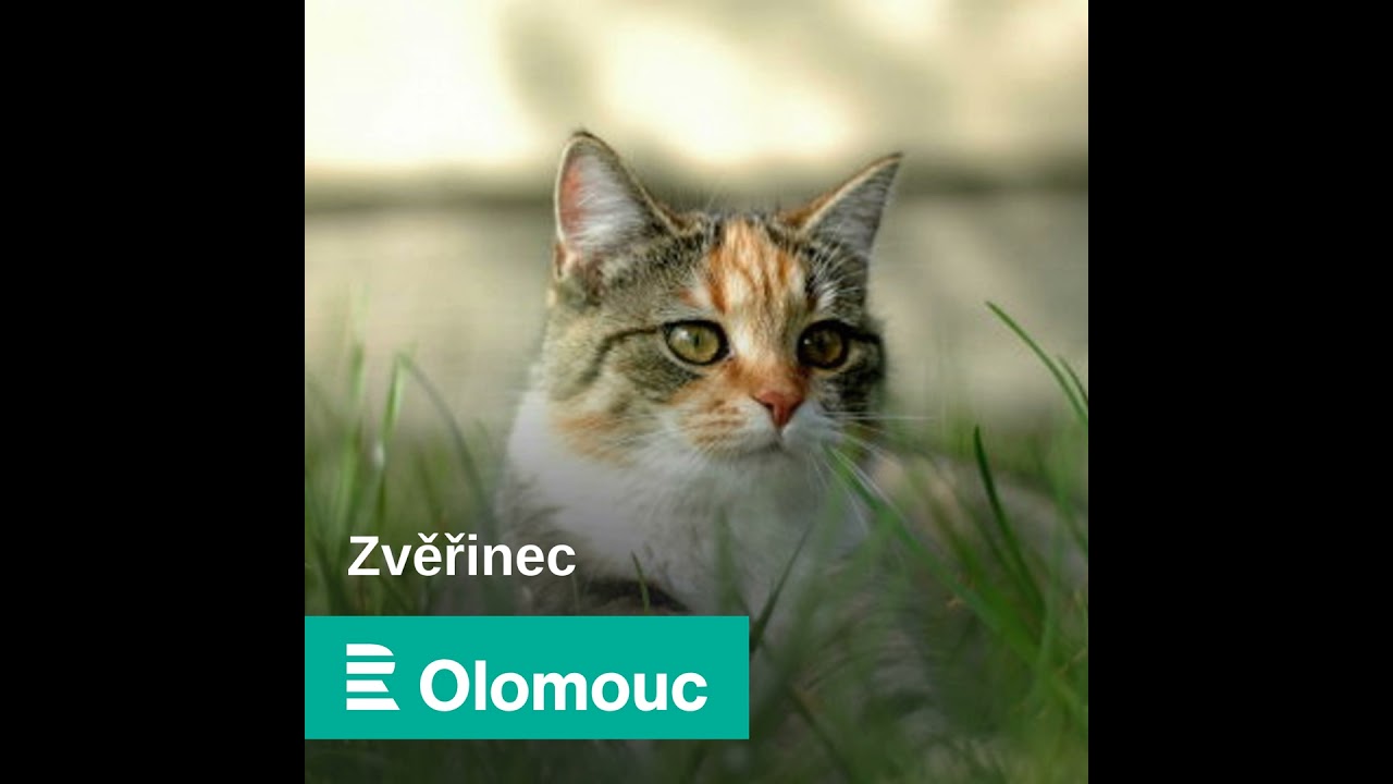 Zvěřinec s MVDr. Karolínou Štoselovou
