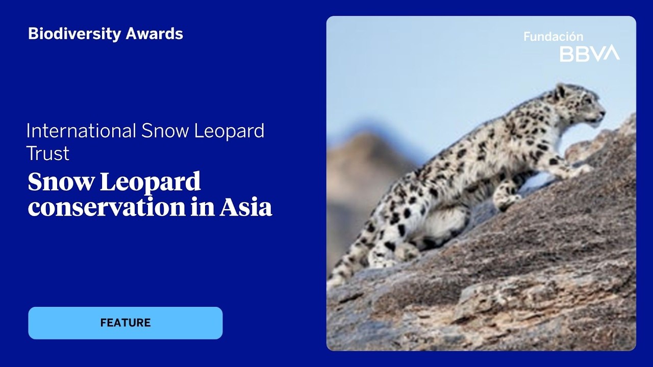 International Snow Leopard Trust, 17th BBVA Foundation Worldwide Award for Biodiversity Conservation
