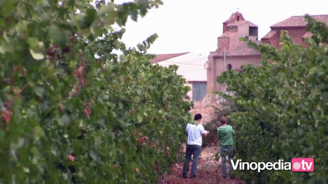 Capítulo 6. Preparando la vendimia