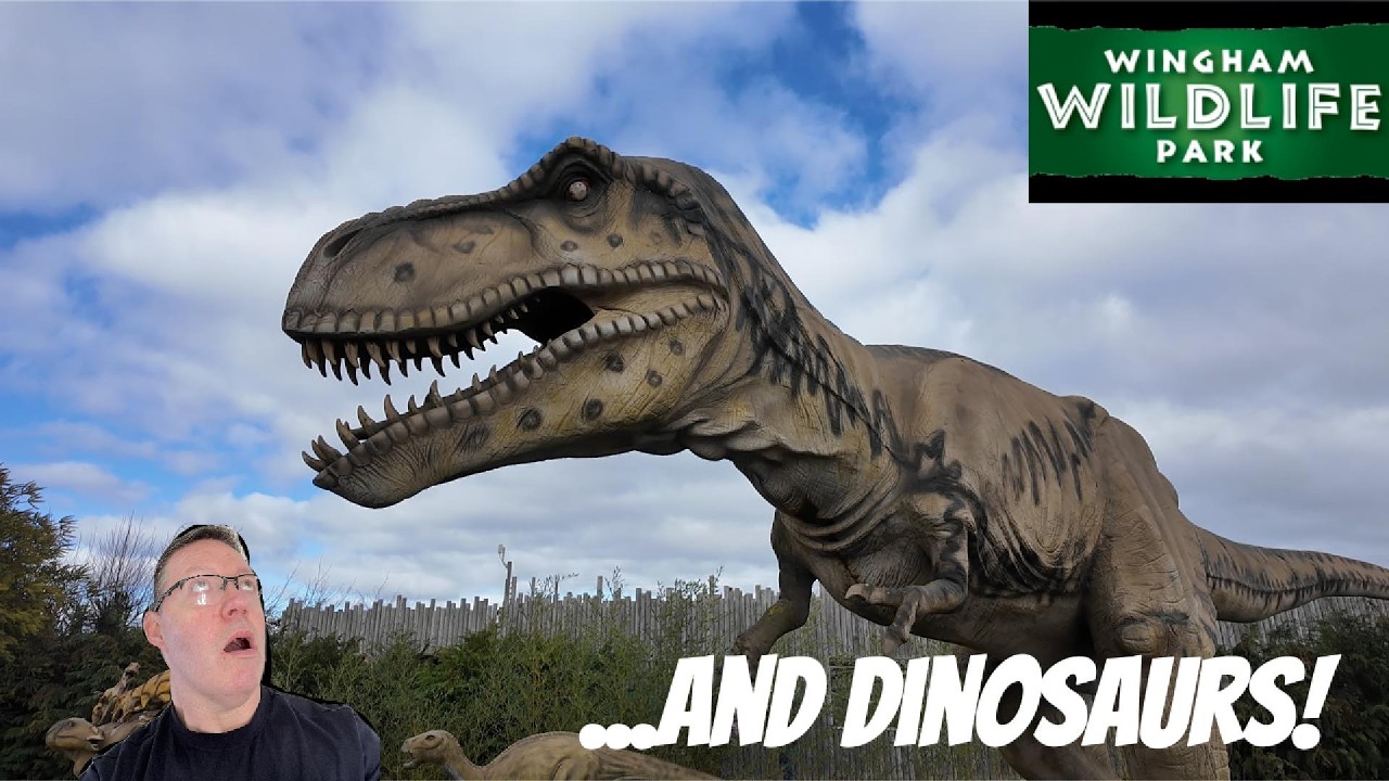 Wingham Wildlife Park Vlog February 2026
