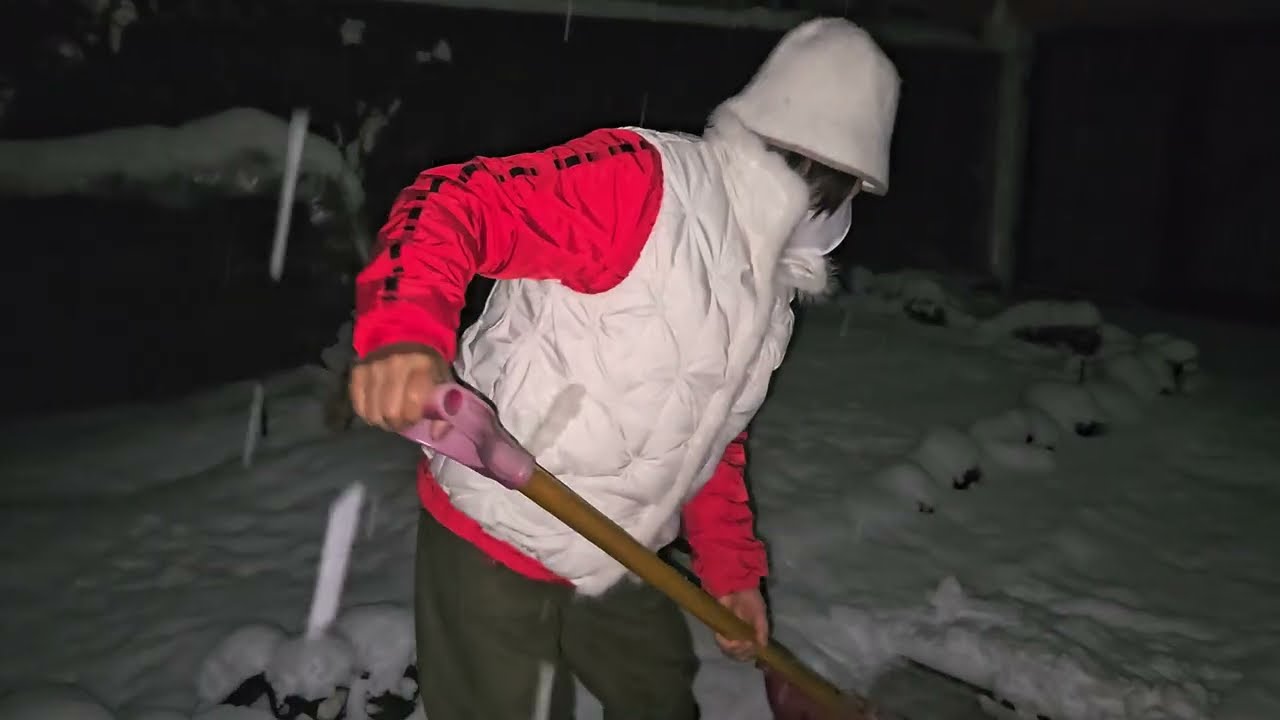 오늘은 정월대보름 하늘에서 쏟아지는❄️눈꽃송이❄️ (여러분 눈길ㆍ빙판길 조심하세요)