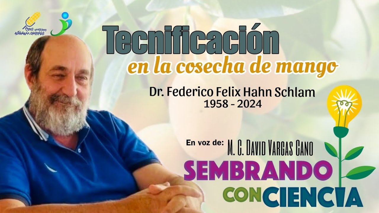Ep. 11 Tecnificación en la cosecha de mango - Dr. Federico Felix Hahn Schlam