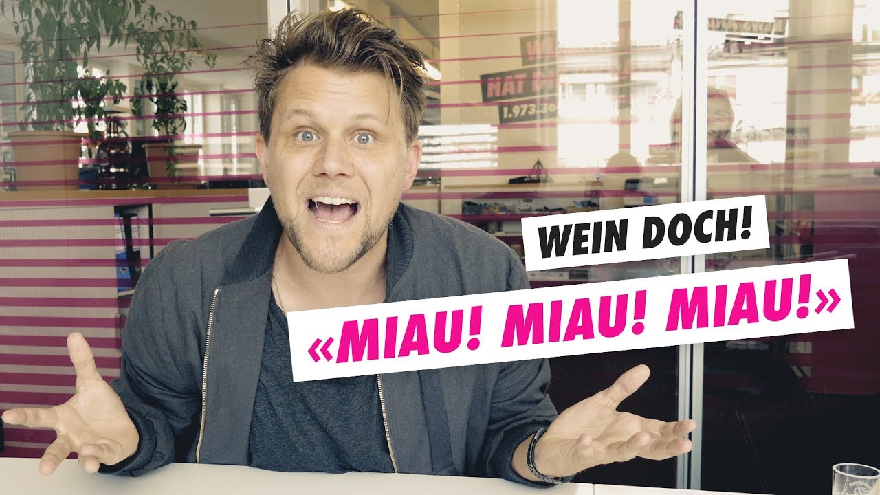 &laquo;Ich zahlte f&uuml;r ein Tier, das M&auml;use auf den K&uuml;chenboden kotzt&raquo;