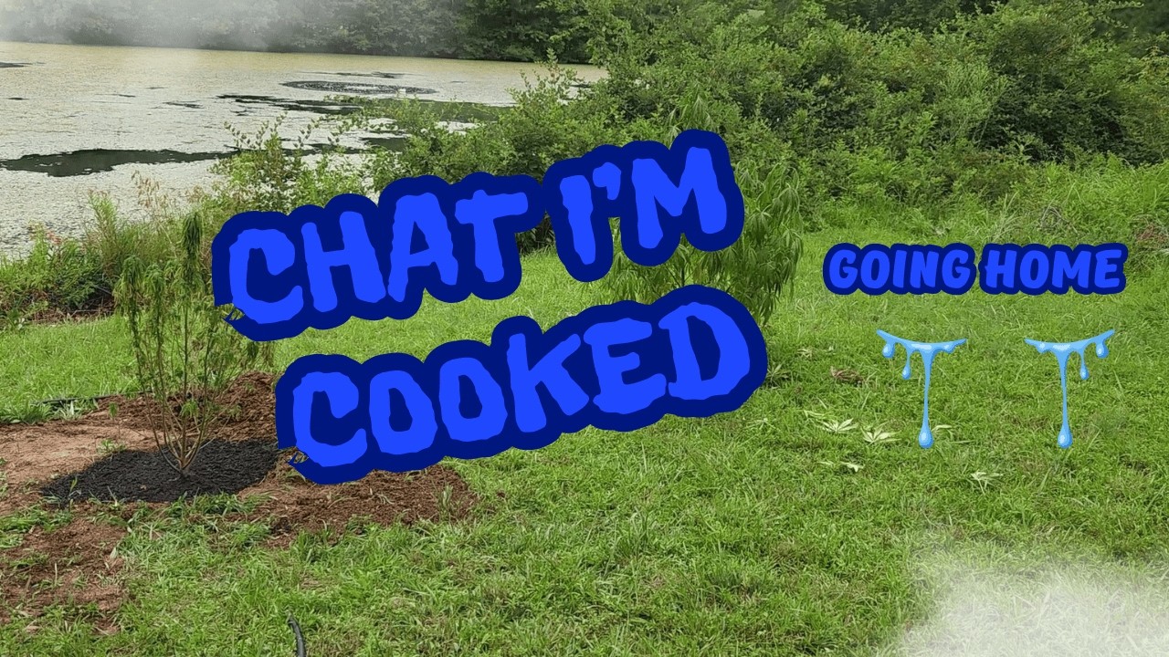 Cooked and Going Home!