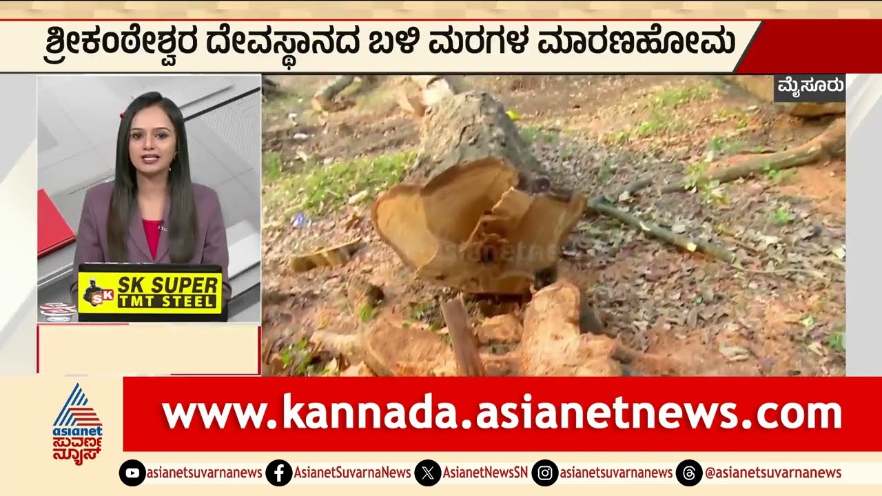 Mysuru; ಶ್ರೀಕಂಠೇಶ್ವರ ದೇವಸ್ಥಾನದ ಬಳಿ ಮರಗಳ ಮಾರಣಹೋಮ | Nanjangud Srikateshwara Temple | Suvarna News