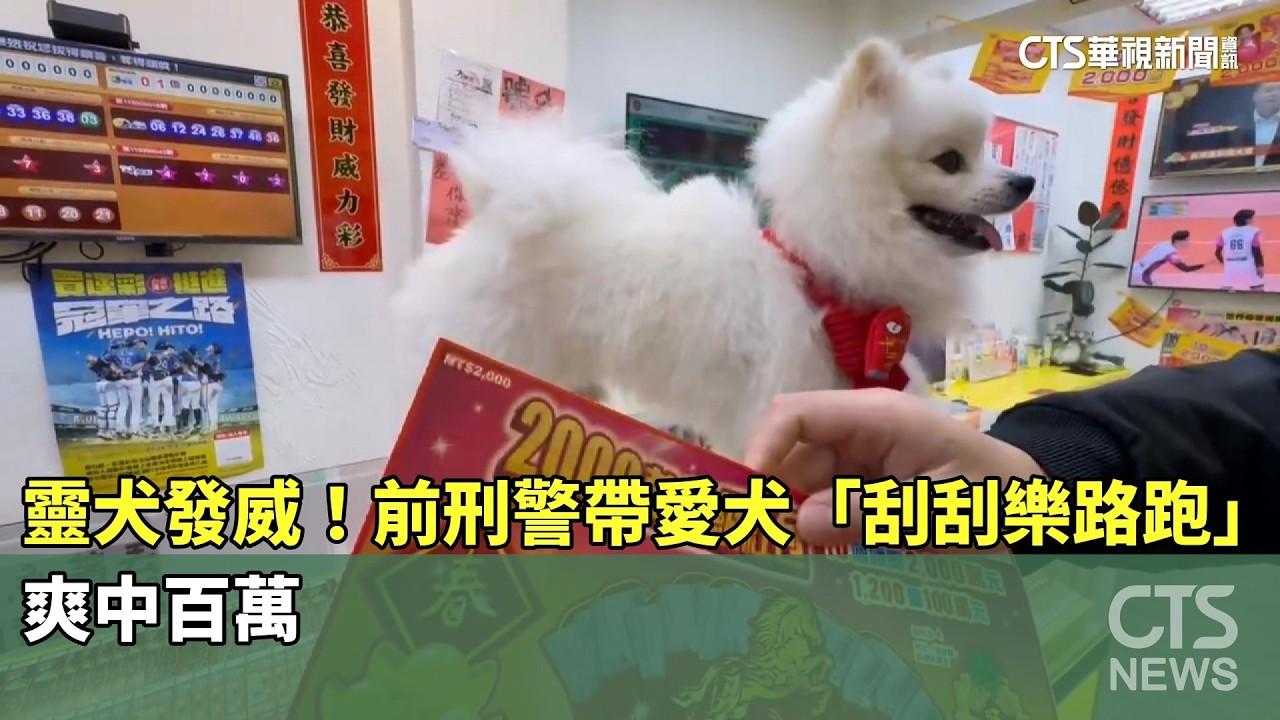 靈犬發威！前刑警帶愛犬「刮刮樂路跑」　爽中百萬｜華視新聞 20260218 @CtsTw