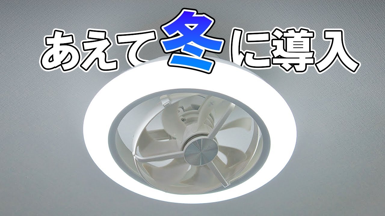 【レビュー　サーキュライト】あえて寒い時期に導入してみた！