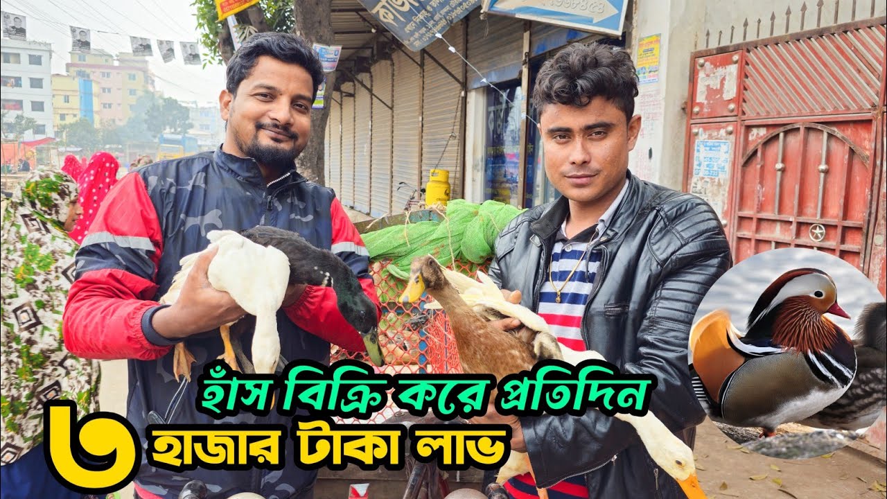 ভ্যান গাড়িতে হাঁস বিক্রি করে মাসে ইনকাম ৬০ হাজার টাকা