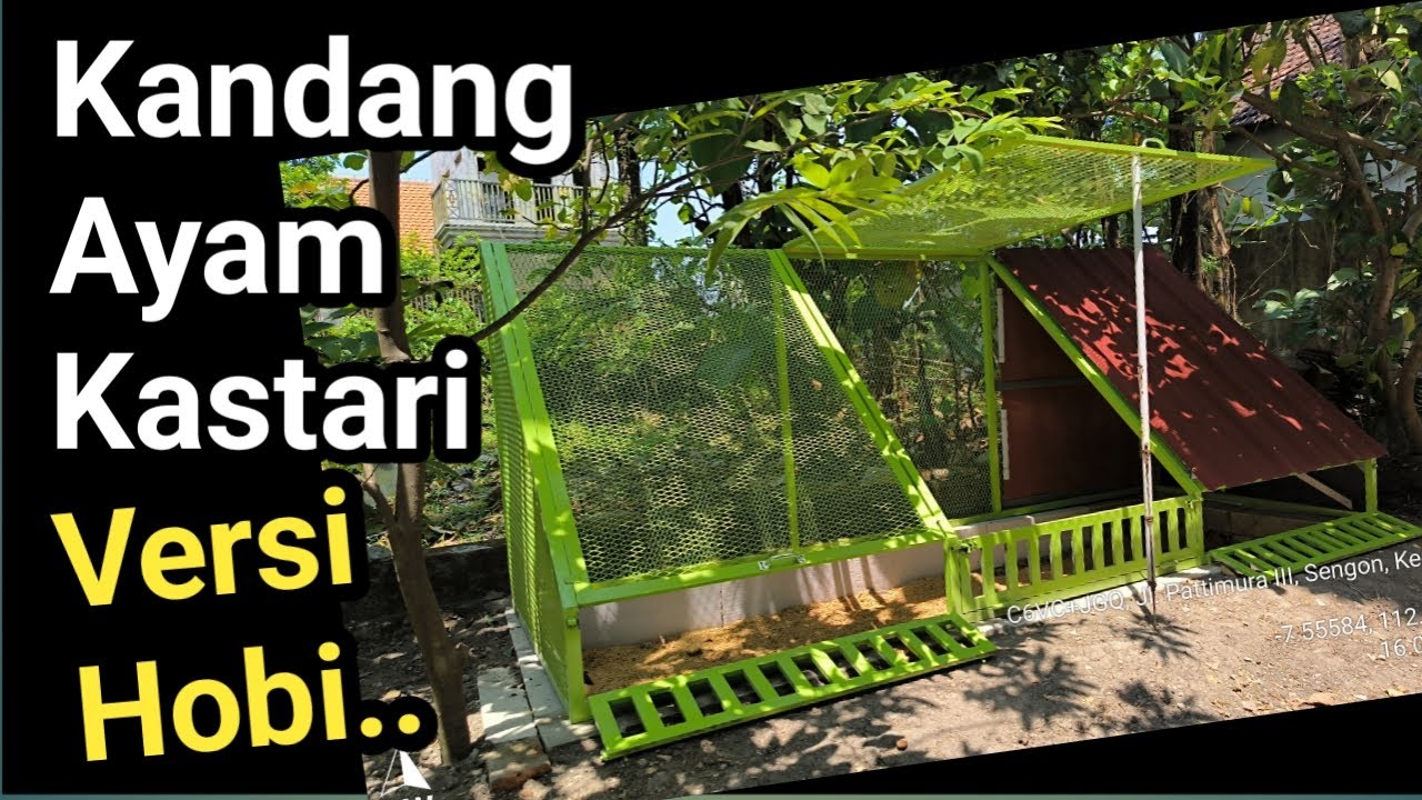 Kandang ayam Kastari versi hobi - estetik, fungsional, dan minim perawatan