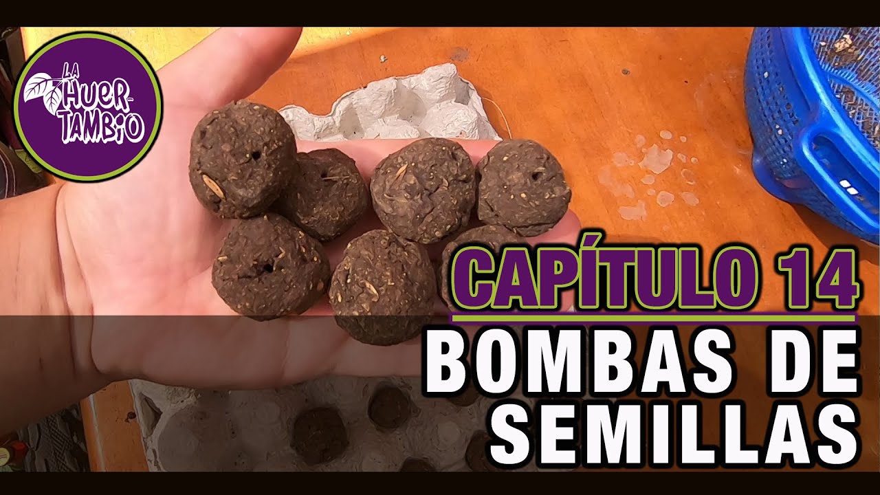 BOMBAS DE SEMILLAS | CAP14 | LA HUERTAMBIO