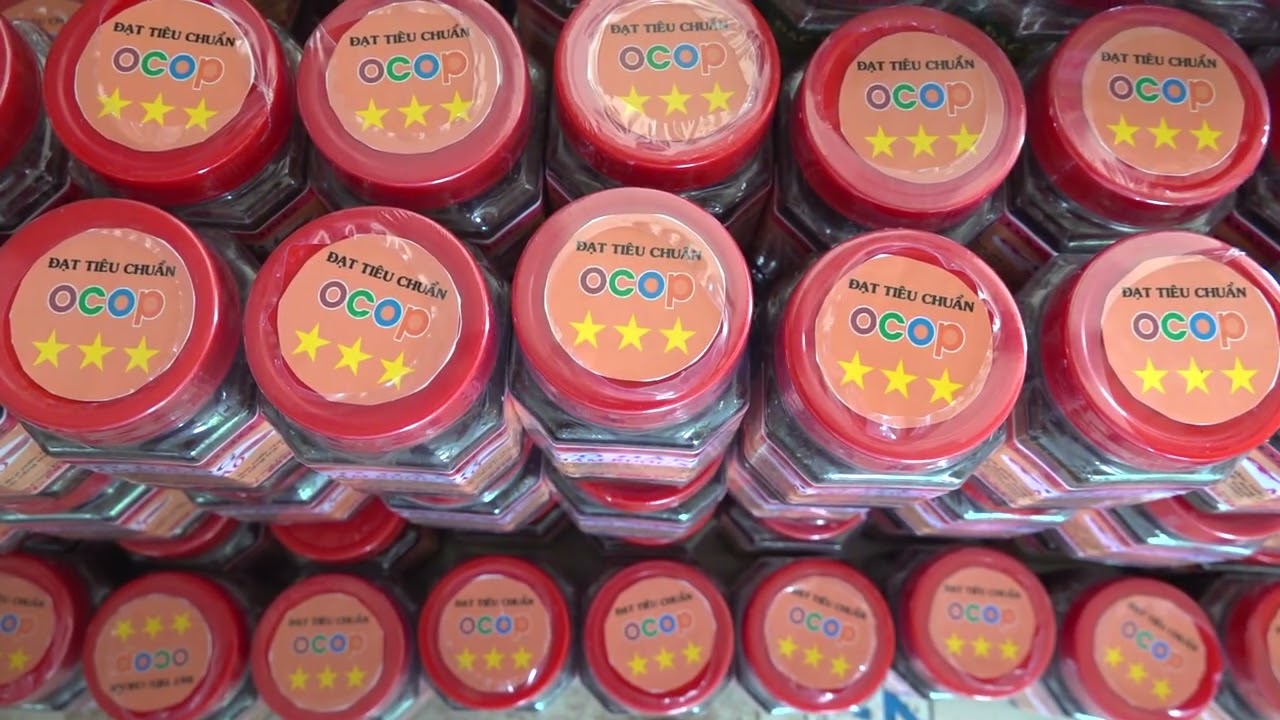 PHONG SU  MUNG DANG   MUNG XUAN 2026 HC