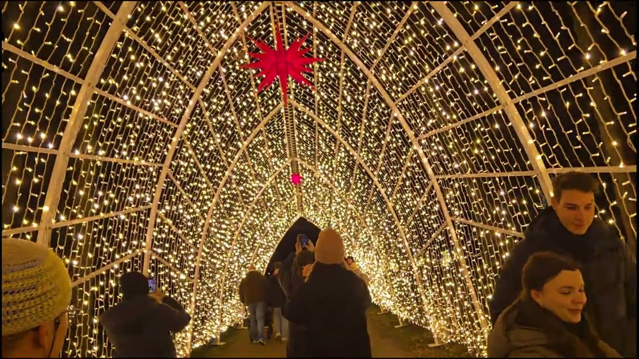 Christmas Garden Dresden Sachsen Germany Dezember 2024