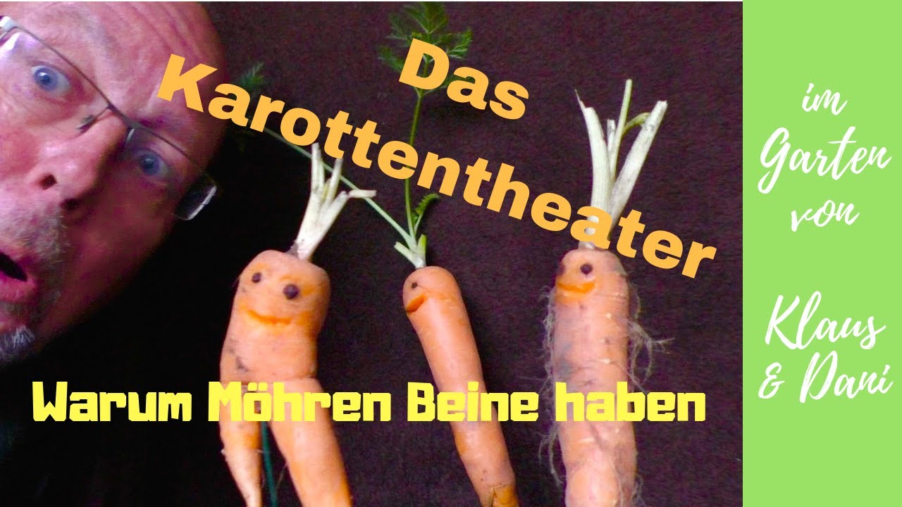 MÖHREN, KAROTTEN RICHTIG ANBAUEN / WARUM SIND UNSERE MÖHREN BEHAART UND HABEN BEINE? / MÖHRENTHEATER