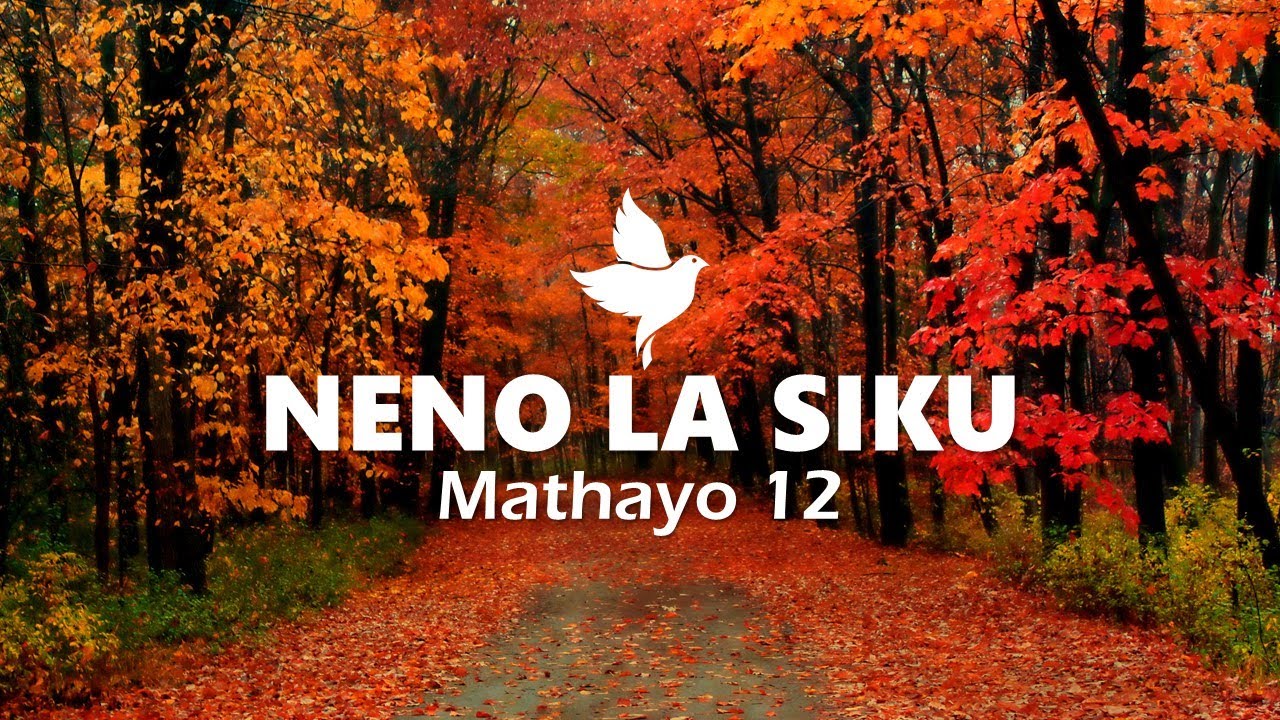 NENO LA SIKU | Mathayo 12 | Maombi Ya Kushinda Matatizo Yanayojirudia | Isaac Javan