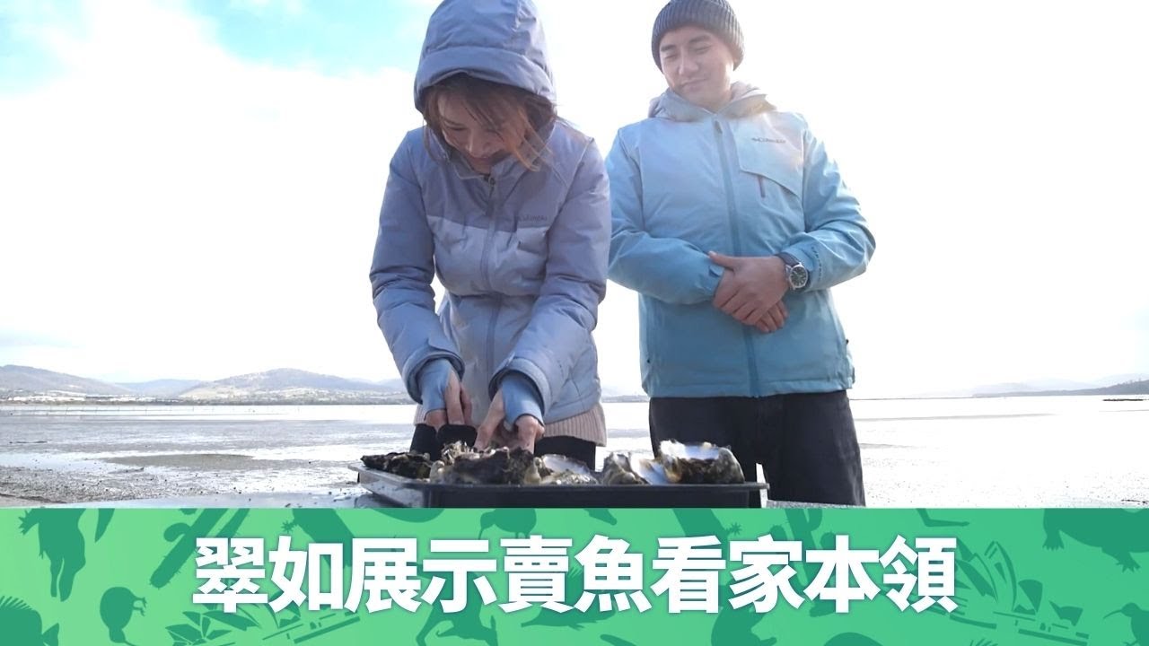 黃翠如、洪永城塔斯曼尼亞即開即食太平洋生蠔｜深入Tasmanian Devil洞穴近距離接觸猛獸｜憶最接近鬼門關經歷｜出走澳洲 黃翠如 洪永城 CC中文字幕