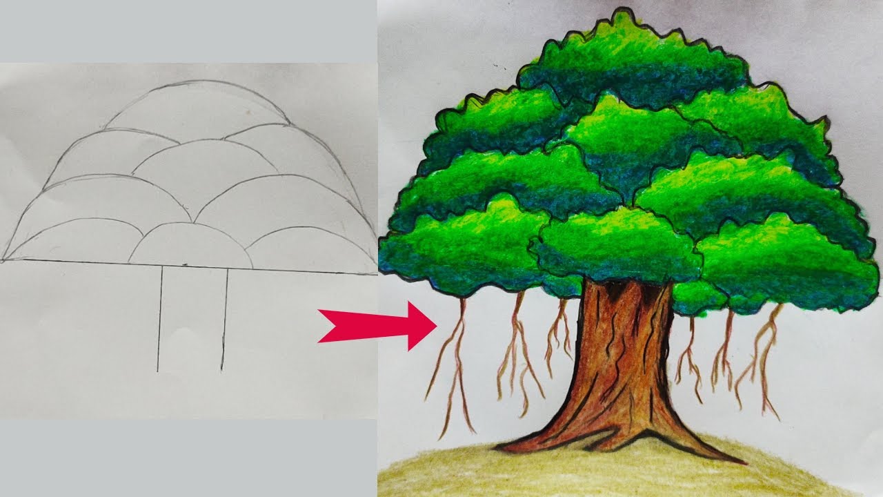 How to draw easy BANYAN TREE | for kids//বট গাছ আঁকা | BANYAN TREE DRAWING