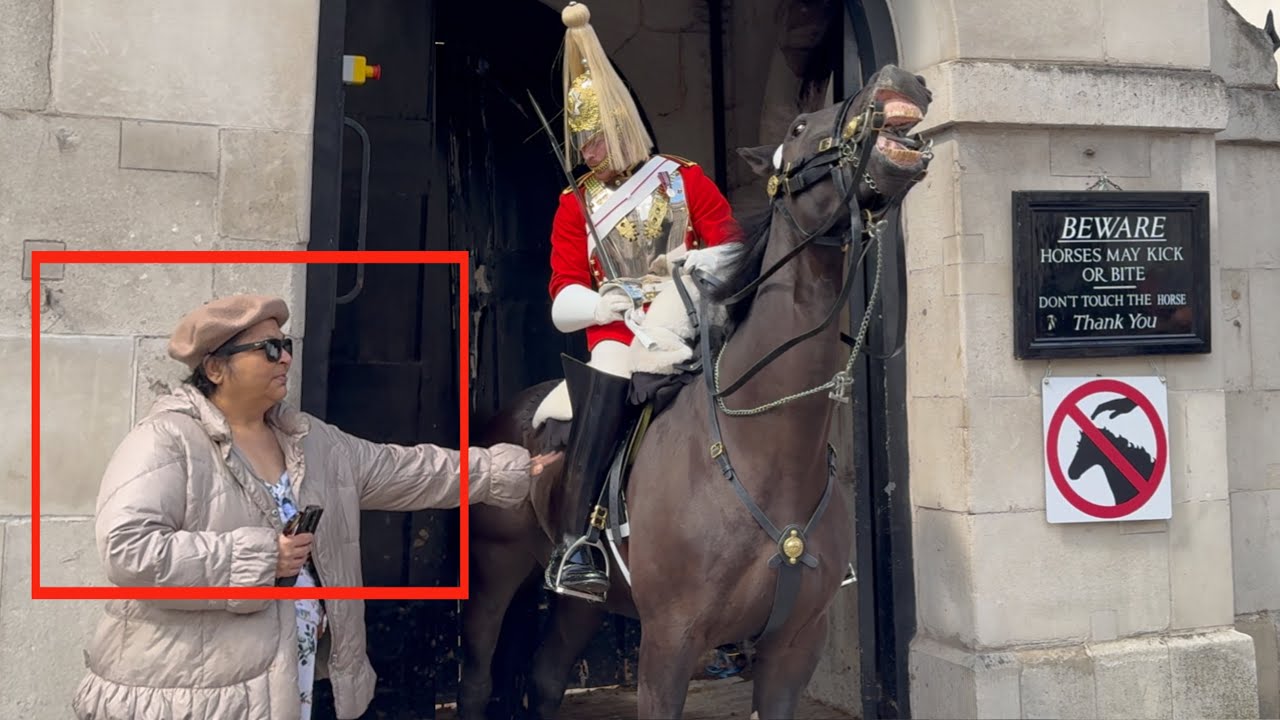 Finally Guard Took Firm Actions! Don’t Touch My Horse GO READ THE SIGNS