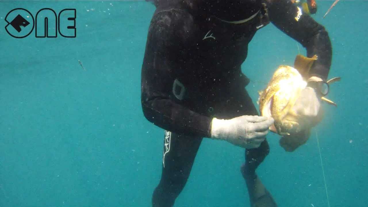 Spearfishing Jeddah - The Deep.mpg