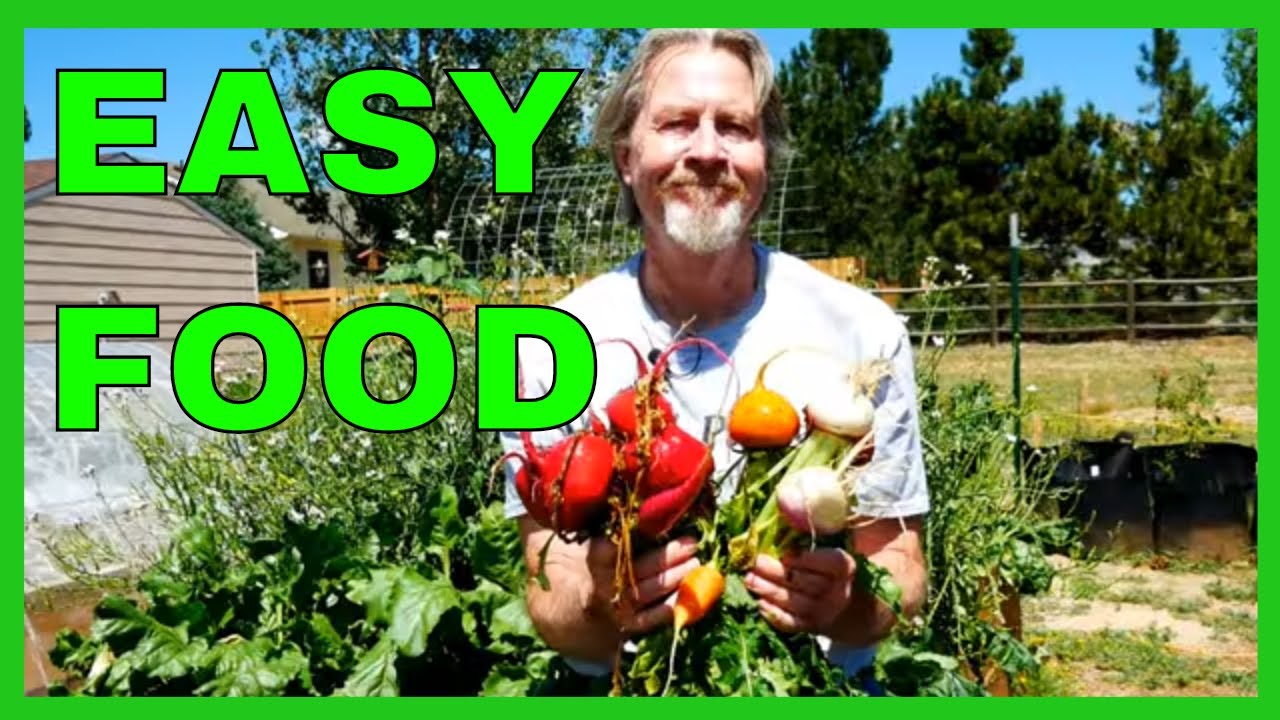 How to Harvest Root Vegetables