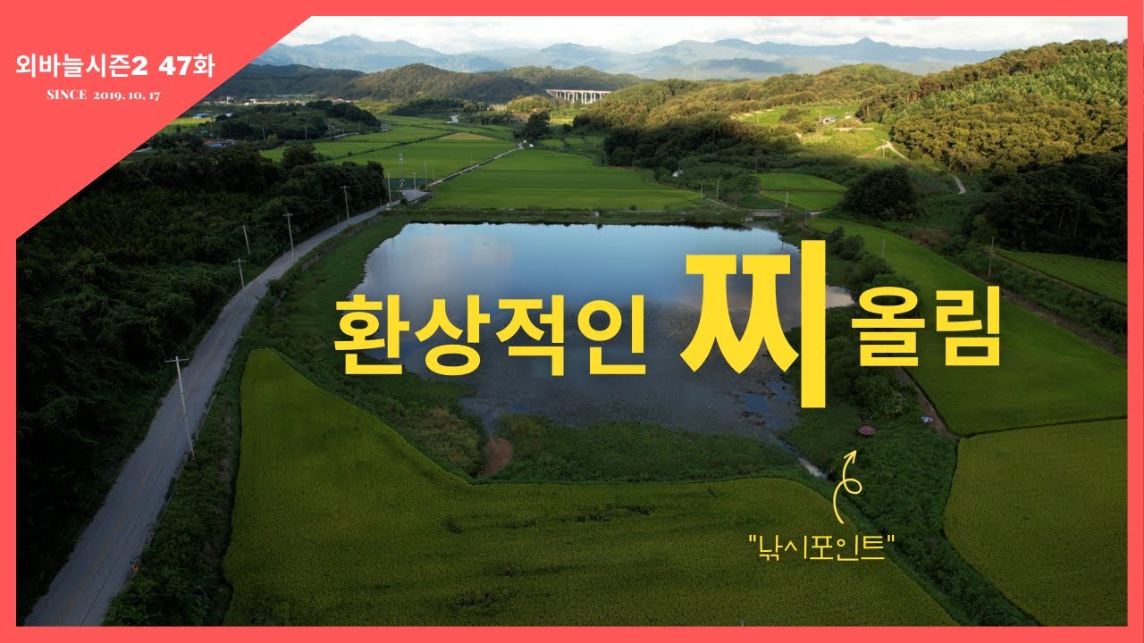 외바늘시즌2 [47화] 환상적인 찌 올림