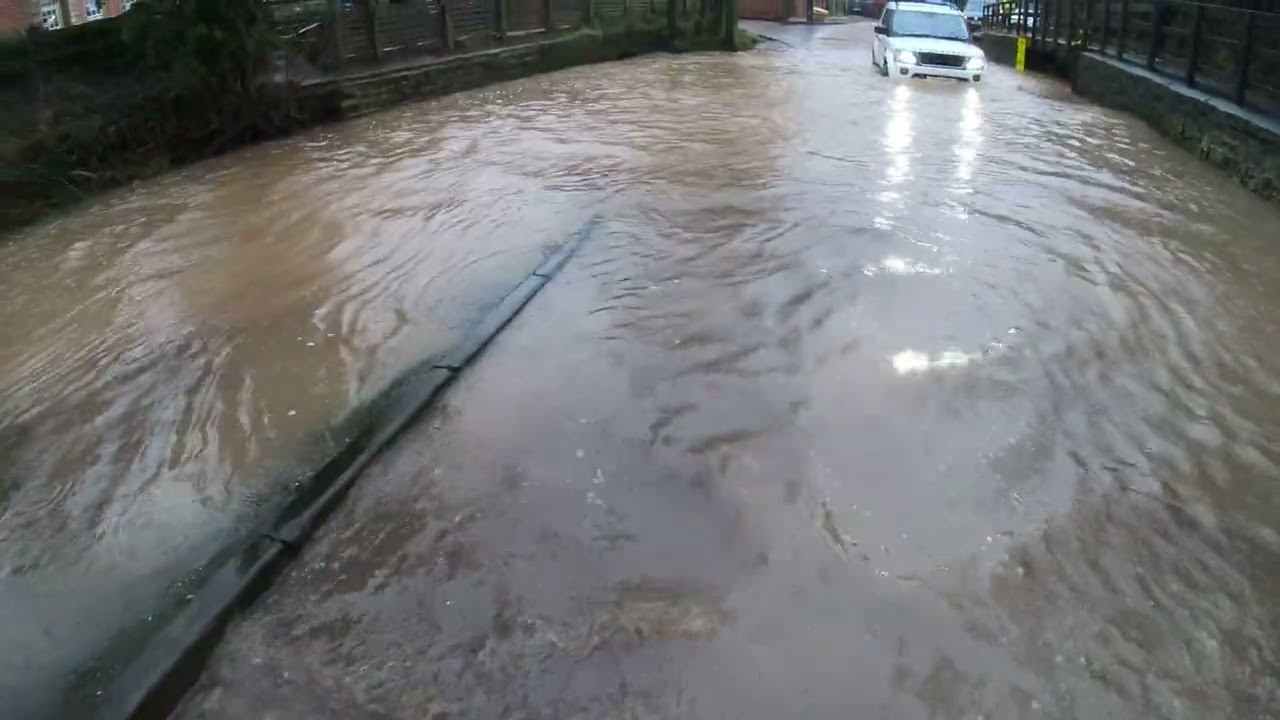 Rufford Ford Fish Fail
