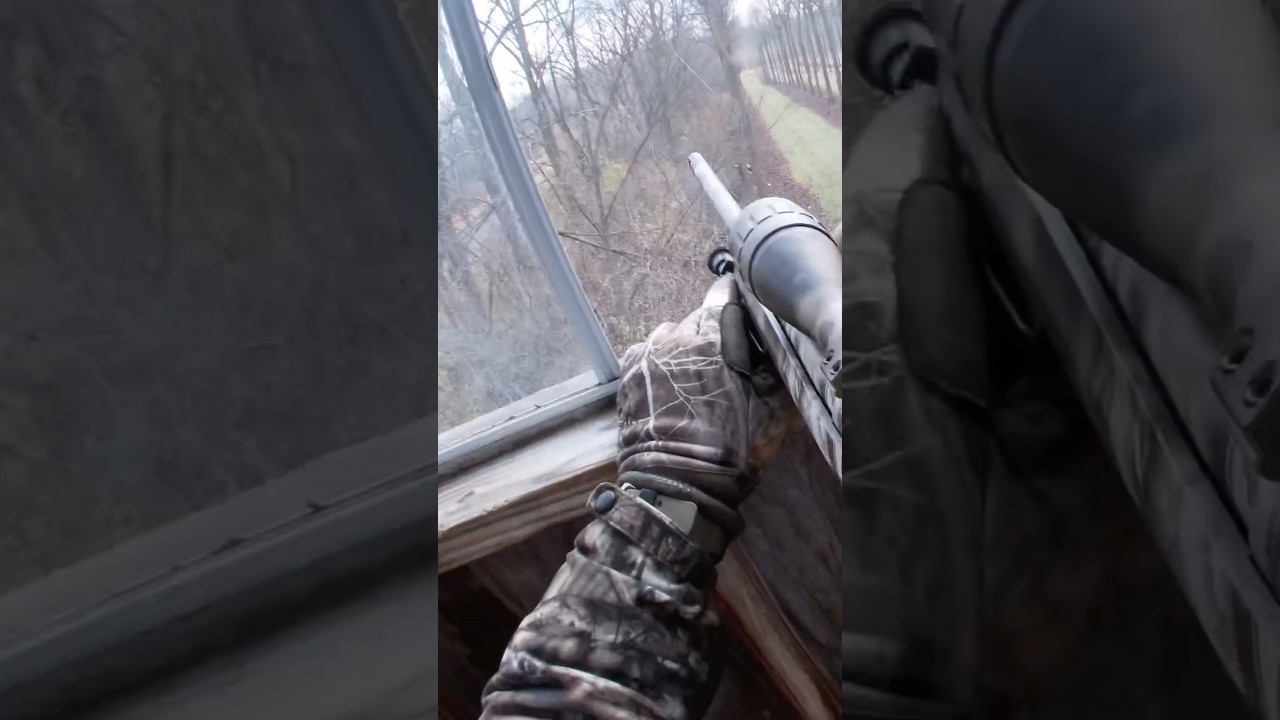 Howa M1500 .308 Win - deer hunting! #FirearmSeason2024 #Doe #DeerHunting #308 #Deer #Hunting #M1500