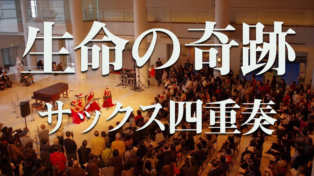 【サックス四重奏】Libera『生命の奇跡』(Song of Life) - Cattleya Saxophone Quartet 特別版
