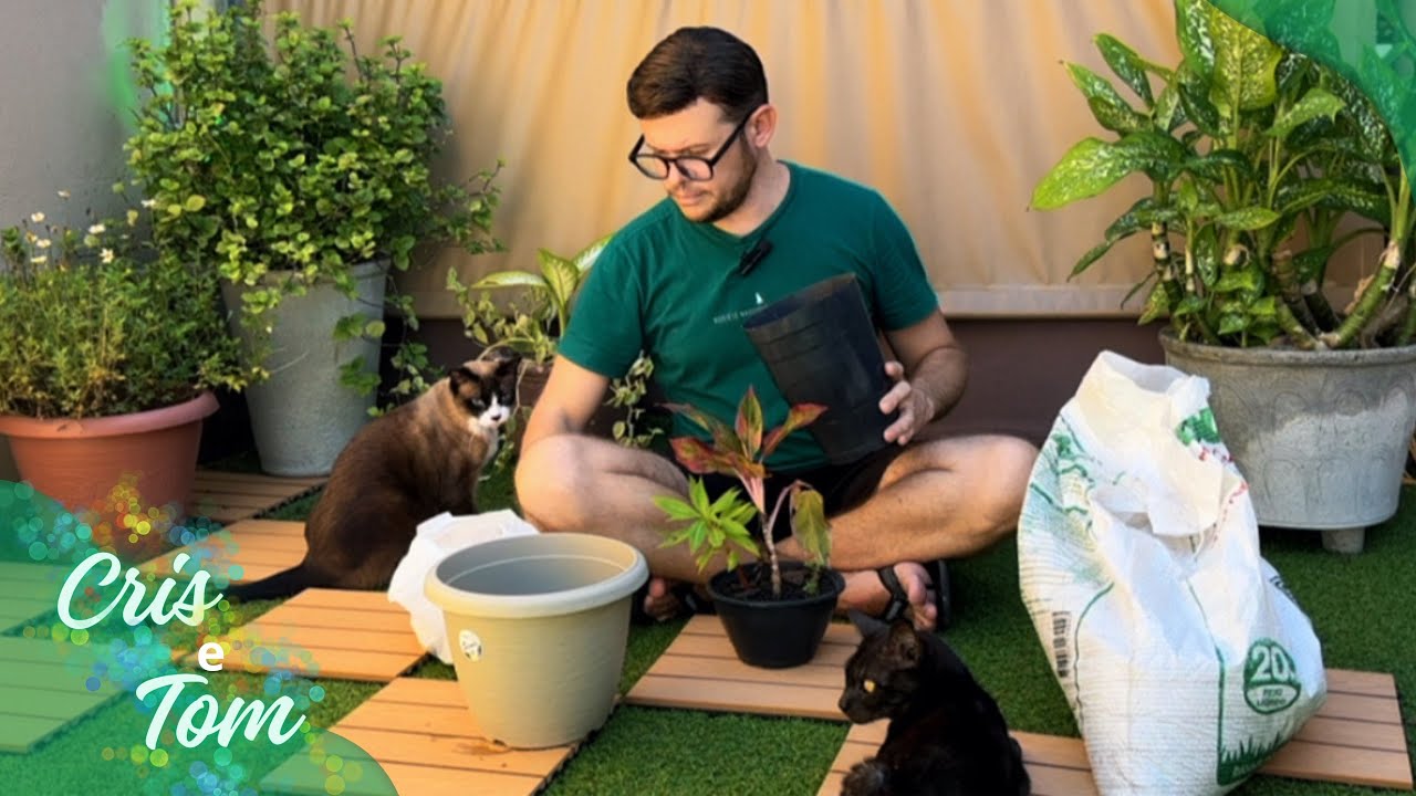 O ERRO que quase matou minhas plantinhas! Veja como corrigi 🌞🌑