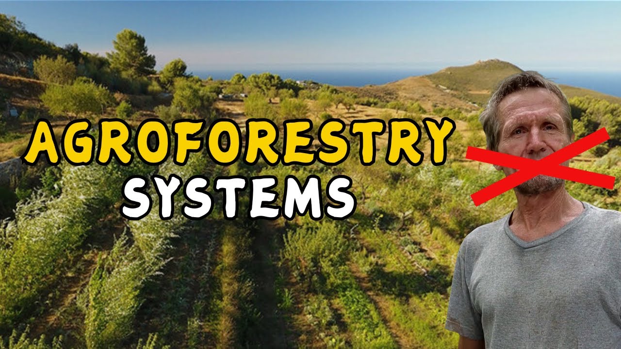 Agroforestry Systems - What No One Is Talking About!