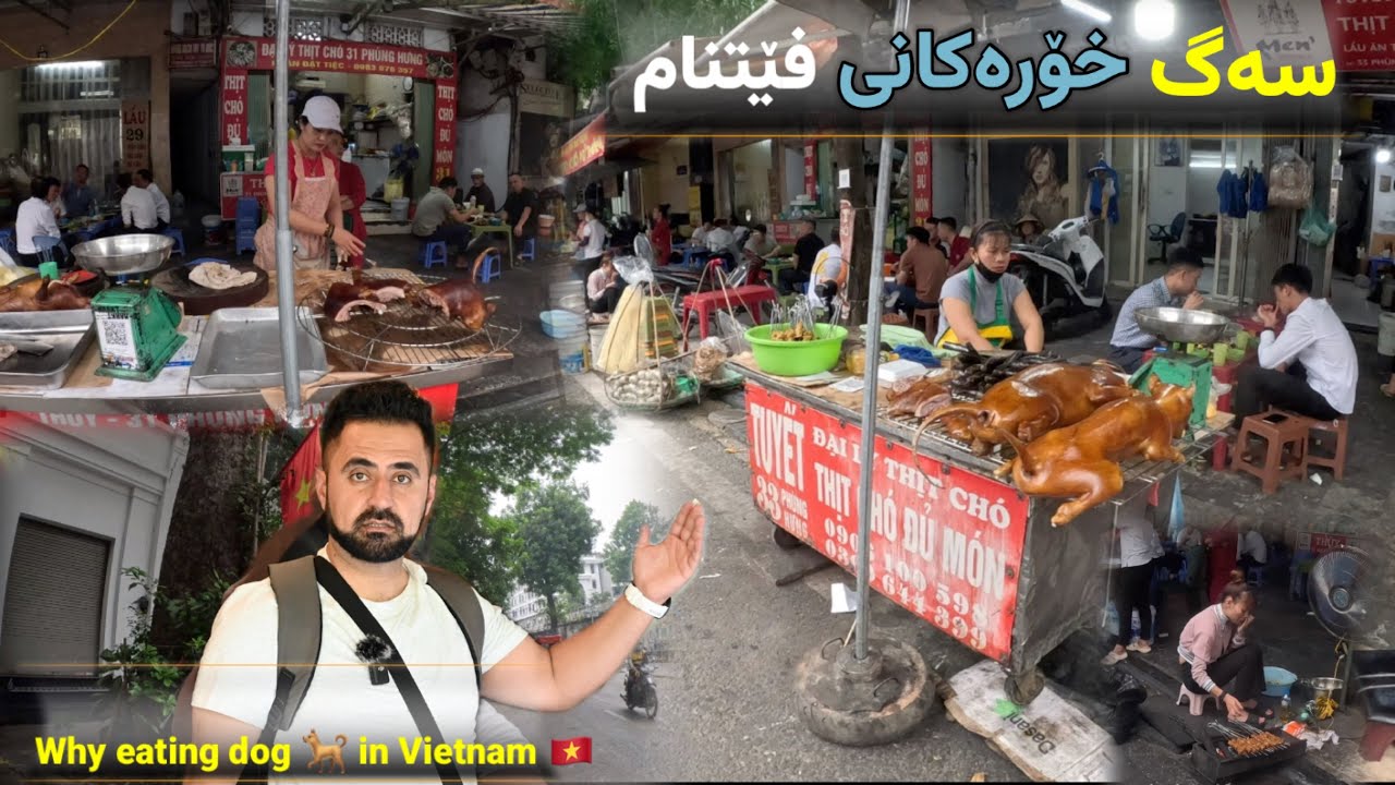 فێتنامێکان بۆچی گۆشتی سەگ دەخۆن ؟/Eeating dogs in Vietnam make you lucky 🍀