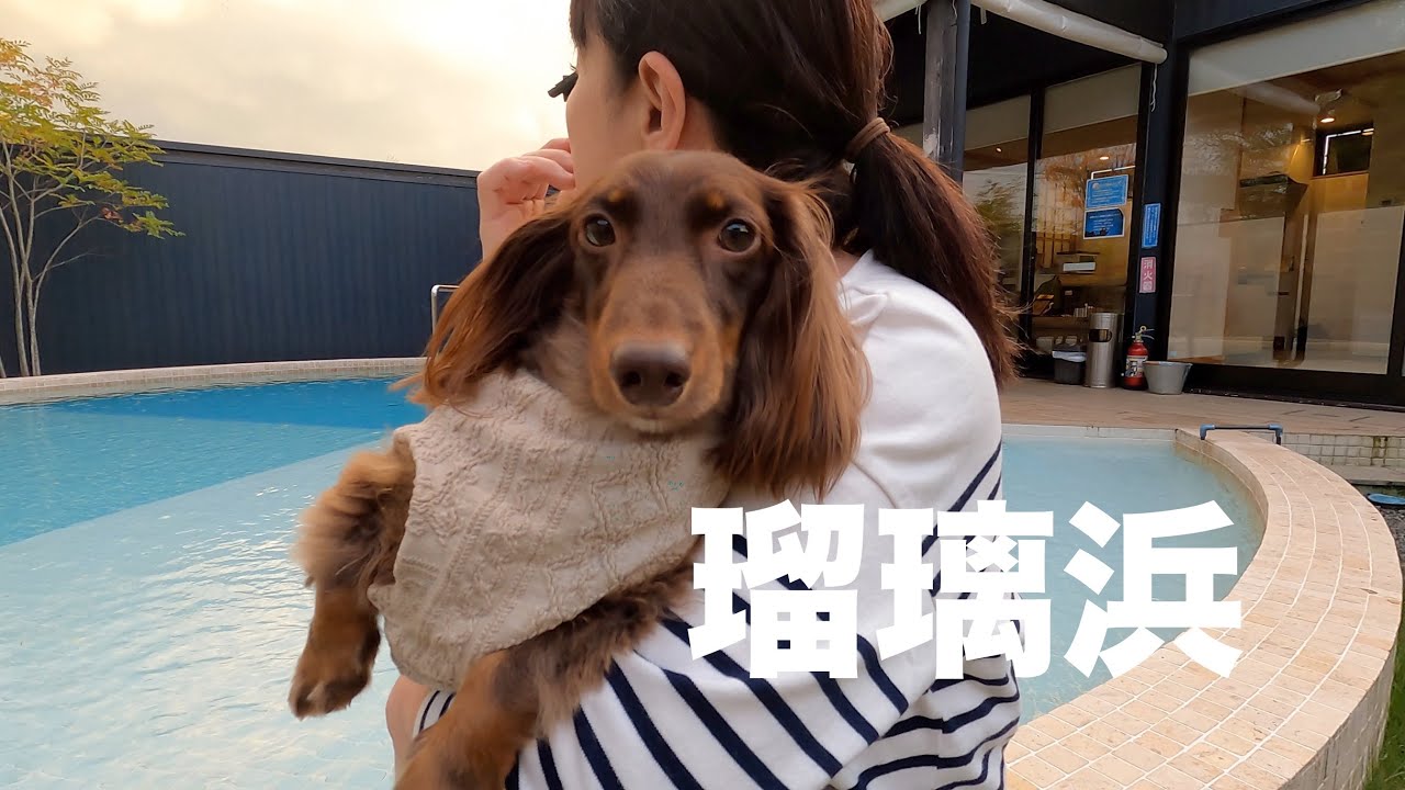 愛犬と泊まれる天然温泉＆プライベートプール付き宿は、豪華だった／瑠璃浜（京都）