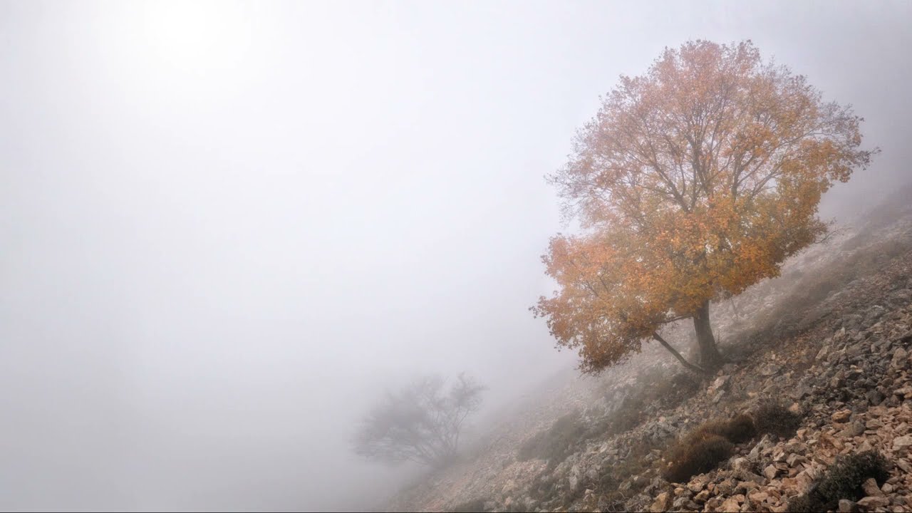 Beethoven - Bagatelle Op.119 Nº1