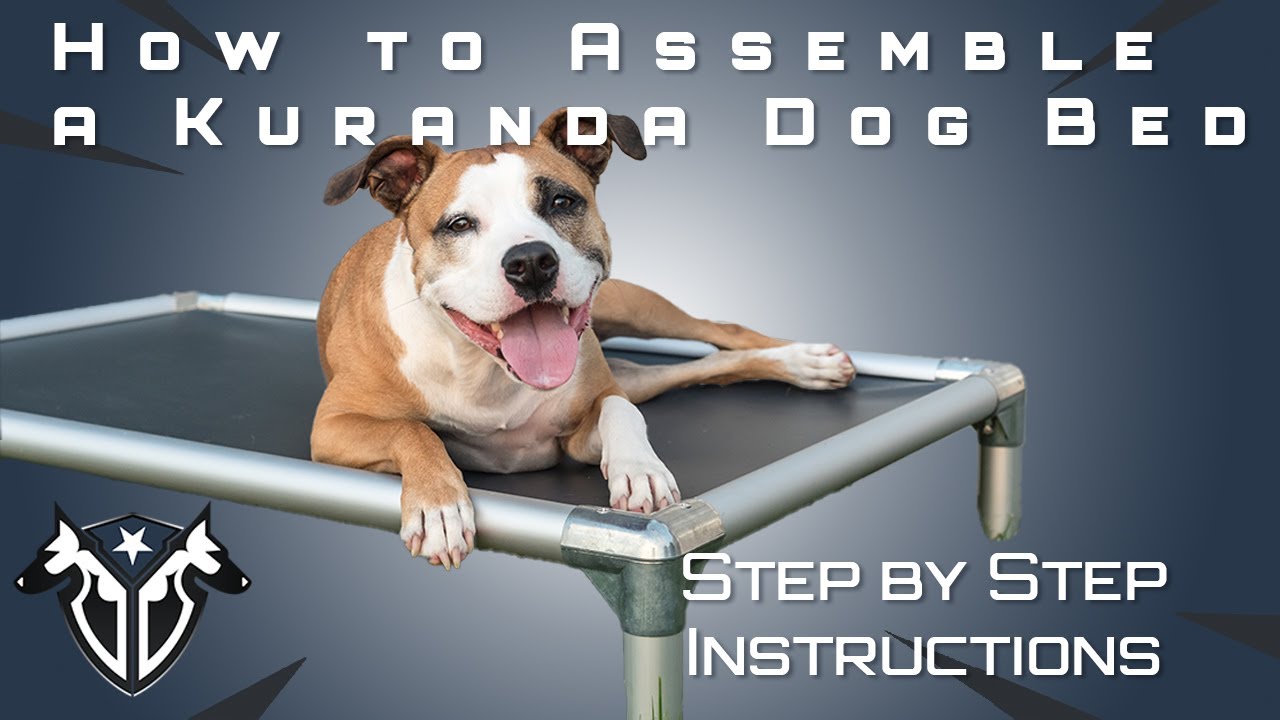How To Put A Kuranda, The Best Dog Bed, Together - Complete Canine Training