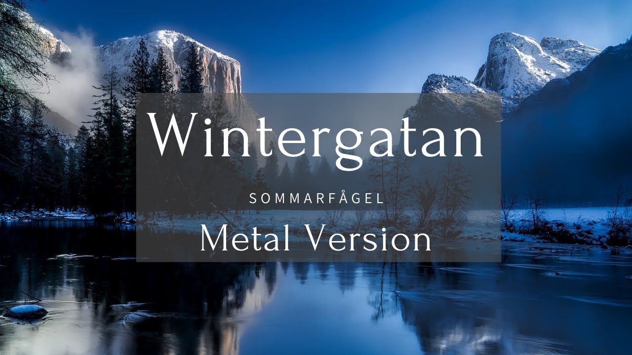 Sommarf&aring;gel - Wintergatan  | Metal Version